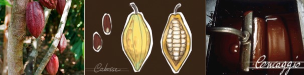 D67E48A8-0D83-4625-9C25-31B30194BF4B.png